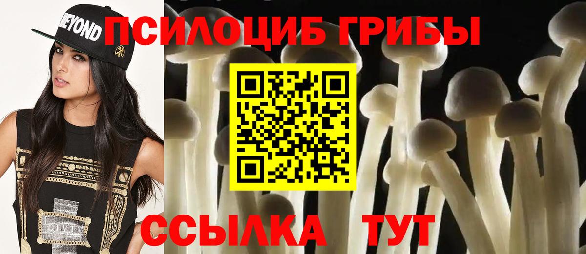 Галлюциногенные грибы Cubensis Наро-Фоминск