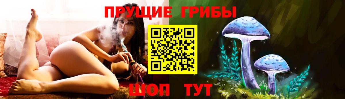 Галлюциногенные грибы GOLDEN TEACHER  Галлюциногенные грибы Psilocybine cubensis  Наро-Фоминск  Вход с VPN 